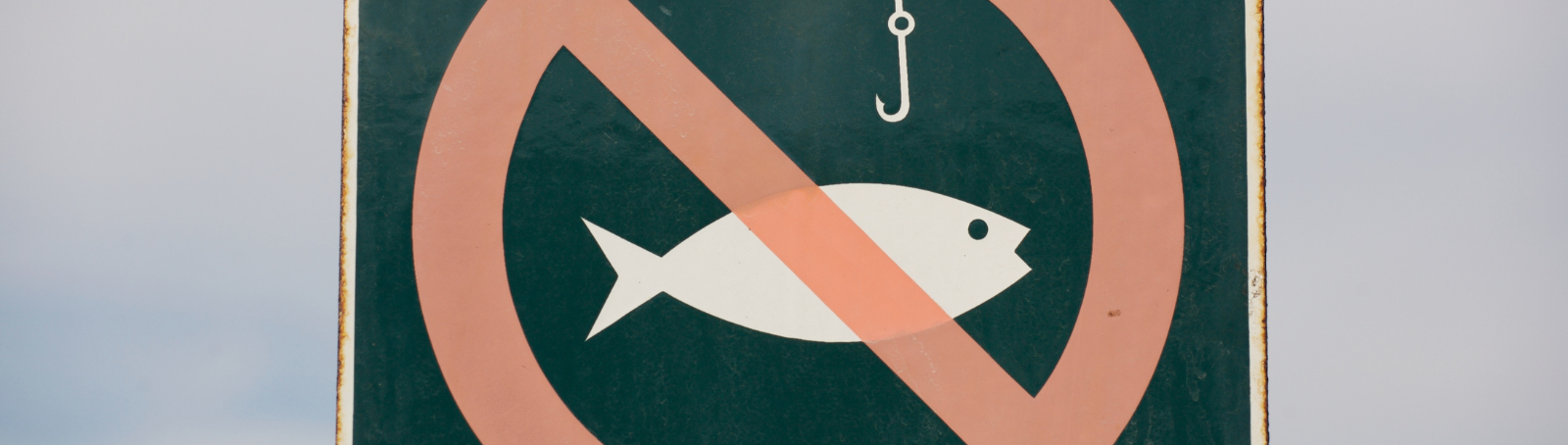 Fishing Laws and Regulations: Navigating the Complexities with Pimaccounting’s Legal and Accounting Expertise